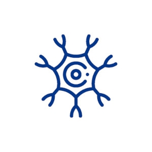 An illustration of a nerve cell