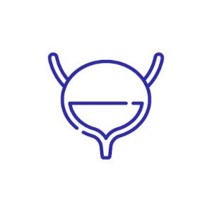 An illustration of a bladder