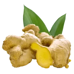 Sliced ginger root