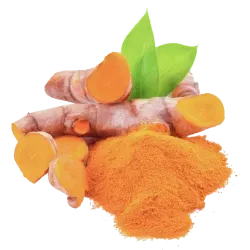 Sliced turmeric root and powder